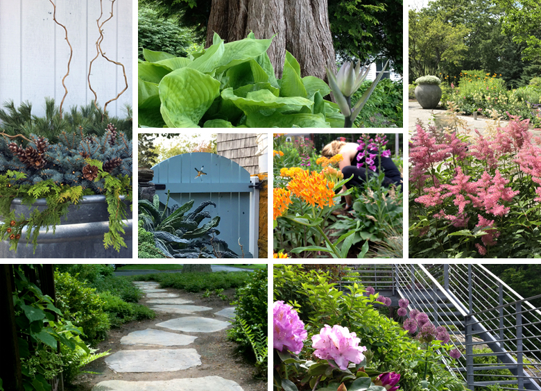 Rebecca Hoffman Fine Gardening | Building great spaces with nature and you.